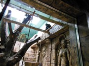 Výlet do ZOO Chleby a Labyrintária Loučeň